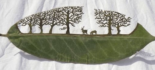 樹葉激光打標(biāo)